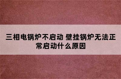 三相电锅炉不启动 壁挂锅炉无法正常启动什么原因